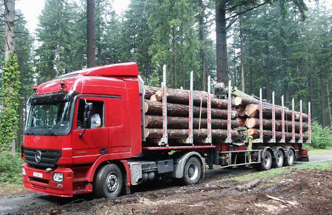 Le prix du bois de douglas touche des sommets