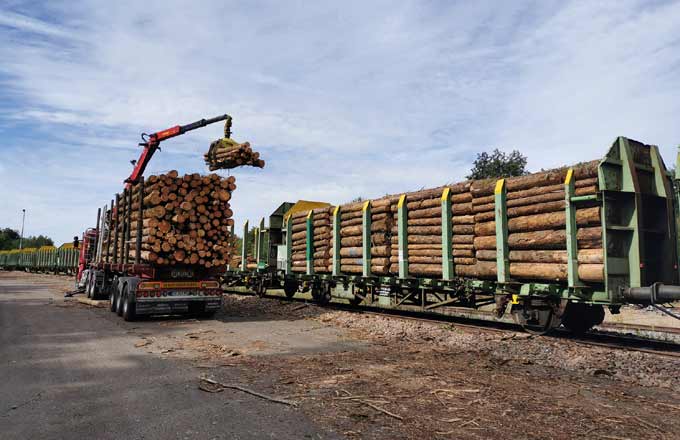 Crise des scolytes: quel devenir des aides à la mobilisation du bois après un bilan plutôt positif?
