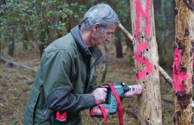 Prélèvements sur des arbres symptomatiques, dans le cadre des mesures de surveillance (crédit photo: Draaf Nouvelle-Aquitaine)
