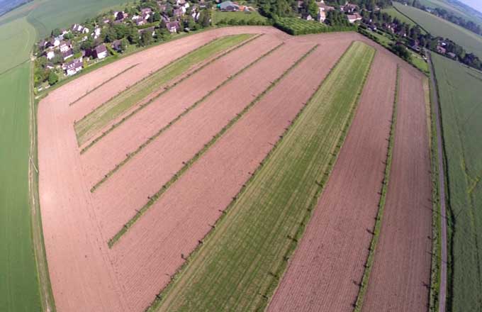 Agroforesterie en Normandie