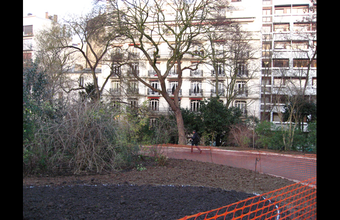 La même parcelle en janvier 2016 (photo Forestopic)