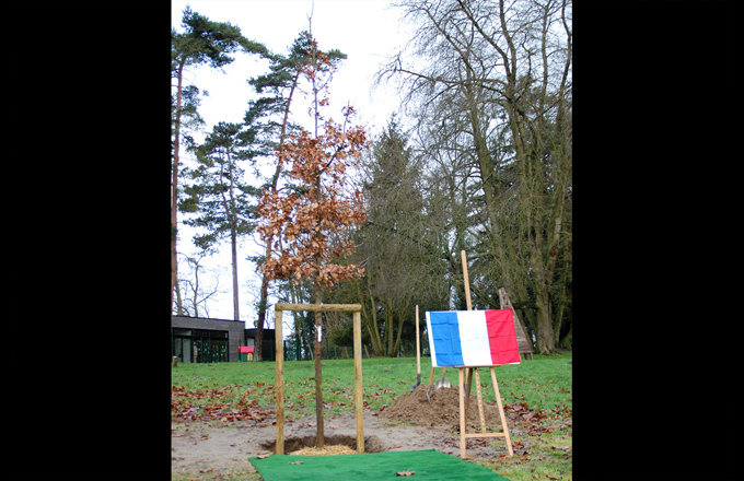 Le chêne de la solidarité à Dammartin (photo DR)