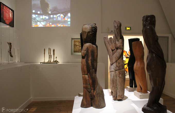 Exposition Le Rêveur de la forêt au musée Zadkine (crédit photo: CC/Forestopic)