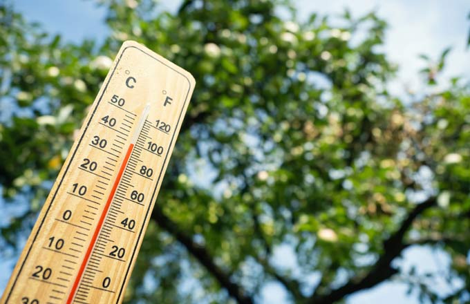 (crédit: Digihelion/iStock)