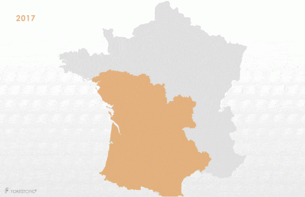 Coopératives forestières: Alliance Forêts Bois absorbe Coforouest et couvre la moitié de la France