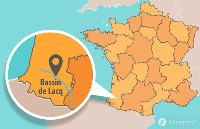 Bassin industriel de Lacq et gave de Pau (crédit de l’infographie: Semiotope Design/Forestopic)