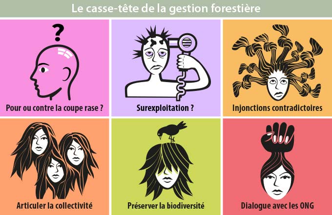 Y aurait-il d’étonnantes correspondances entre les enjeux de la gestion forestière et ceux de la gestion capillaire? Pictogrammes retravaillés pour Forestopic et issus d’une étude de DCAP Research sur le rapport des Françaises à leurs cheveux illustrant leurs principales préoccupations (crédit: DCAP Research)