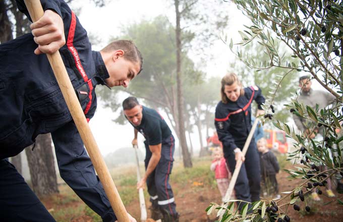 Le premier projet Ecosia de plantation d’arbres en France (crédit photo: Ecosia)