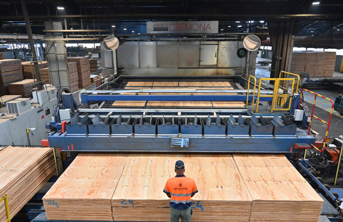 De l’optimisme se décèle dans le segment du contreplaqué bois (crédit photo: NP Rolpin, usine de Labouheyre)