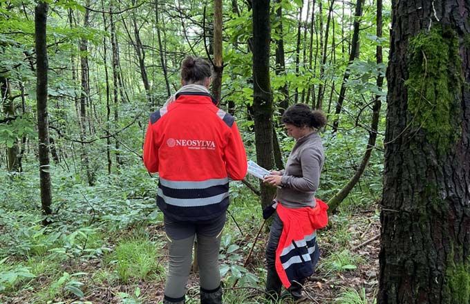Néosylva accompagne la gestion de 2 500 hectares de forêts (photo: droits réservés)