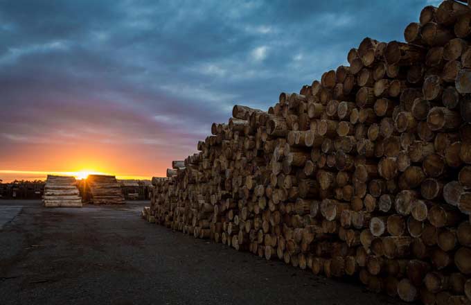 Le fabricant de palettes PGS poursuit sa stratégie bois et s’associe avec la scierie Tartière