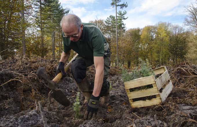 Dix premières entreprises représentent une compensation carbone de près de 200 000 tonnes et une plantation d’environ 1,4 million d’arbres