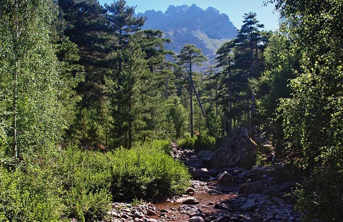 20-Haute-Corse