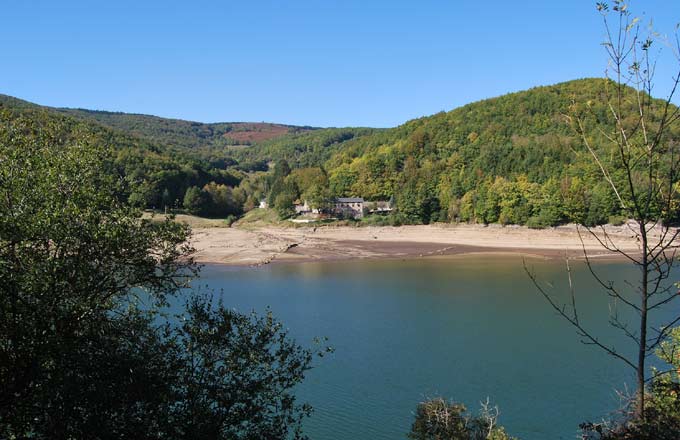 Changement climatique: un outil numérique en projet pour les forêts du Haut-Languedoc