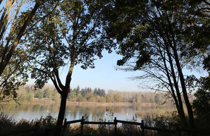 Le massif forestier de Saint-Germain-en-Laye fait l’objet d’une procédure en cours, en vue de son classement en forêt de protection