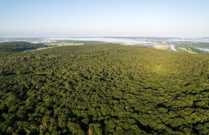 Le département détient plus de 2 300 hectares d’espaces naturels sensibles et de forêts (crédit photo: CD95)