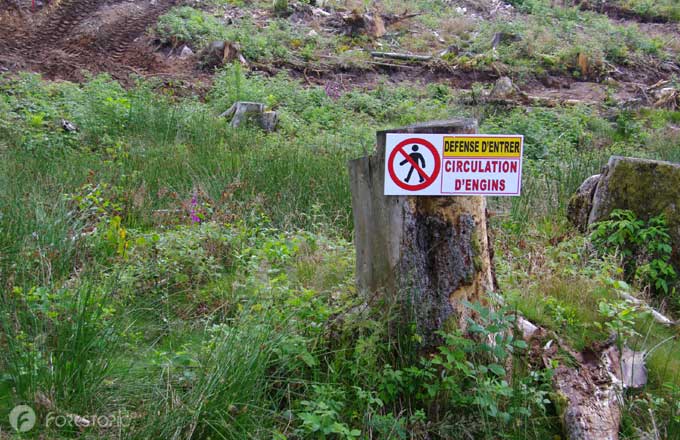 Chantiers forestiers. L’Office français de la biodiversité appelé à faire preuve de mesure