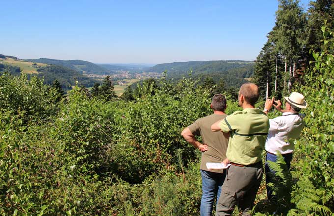 Gestion des forêts (crédit photo: commune du Val d’Ajol)