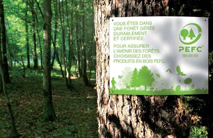 L’organisation de certification forestière entend renforcer les contrôles sur l’usage de glyphosate en forêt