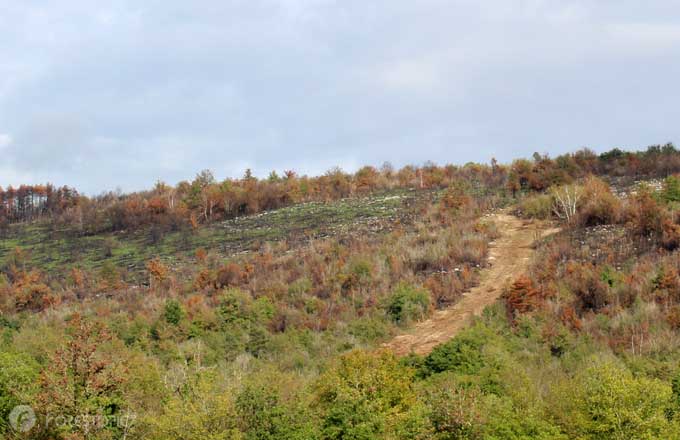 Voie pare-feu réalisée pour contrer des incendies de forêt et de végétation dans le Jura en 2022 (crédit photo: CC/Forestopic)