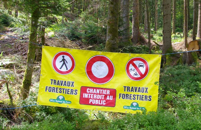Chantier forestier (crédit: CC/Forestopic)