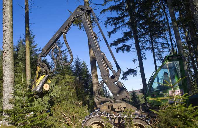 Travaux forestiers: les aides fiscales sur le GNR se précisent