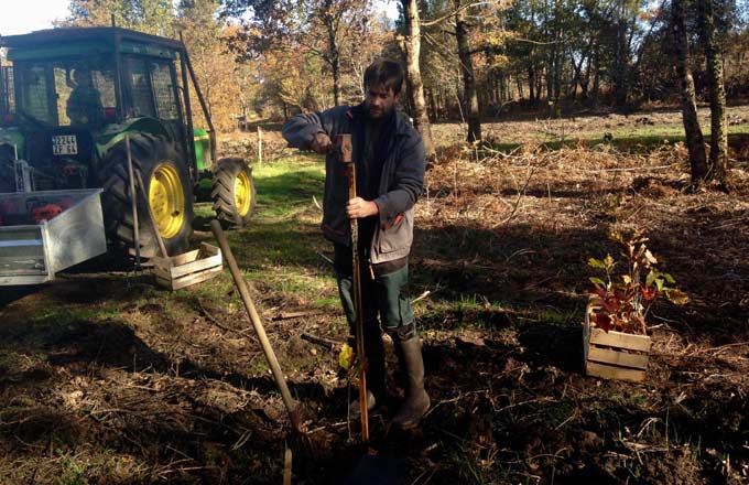 Le programme Dynamic Bois dynamise-t-il la forêt et le bois énergie ?