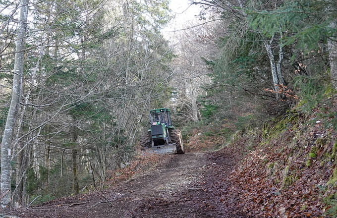 Tracteur en forêt (crédit photo: Guilhem Vellut cc by 2.0)