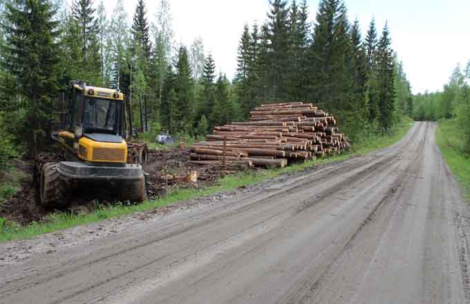 Les projets Dynamic Bois 2016 doivent mobiliser 1,4 million de tonnes de biomasse supplémentaire par an