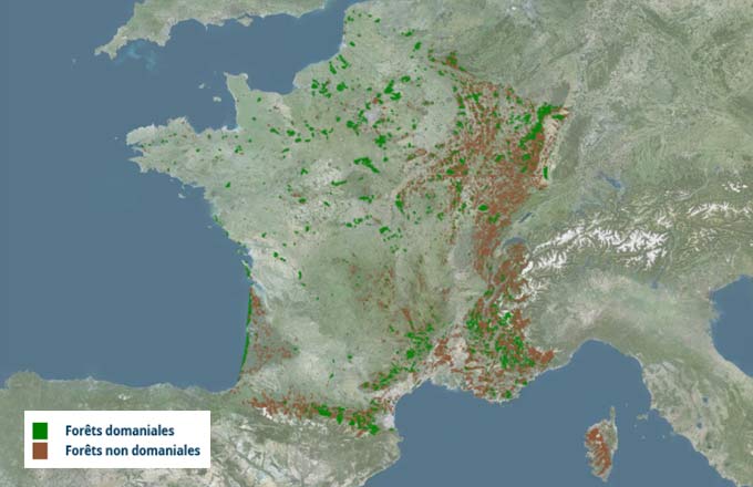 Cartes des forêts de France