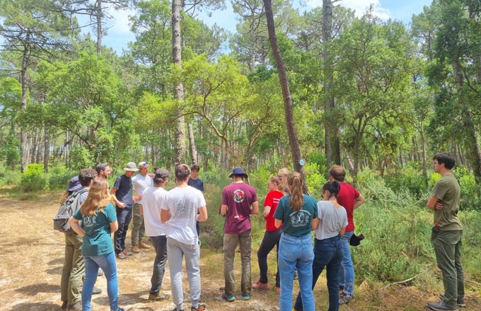 Sortie en forêt dans le cadre de la formation d’ingénieurs de Bordeaux Sciences Agro (crédit photo: BSA)