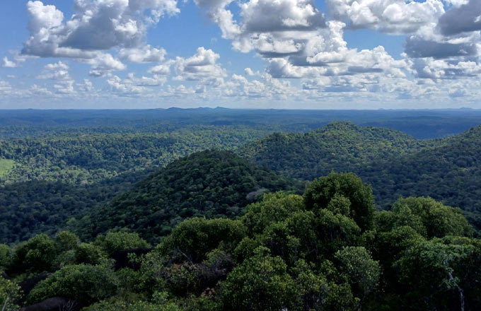 Guyane (crédit photo: ONF)