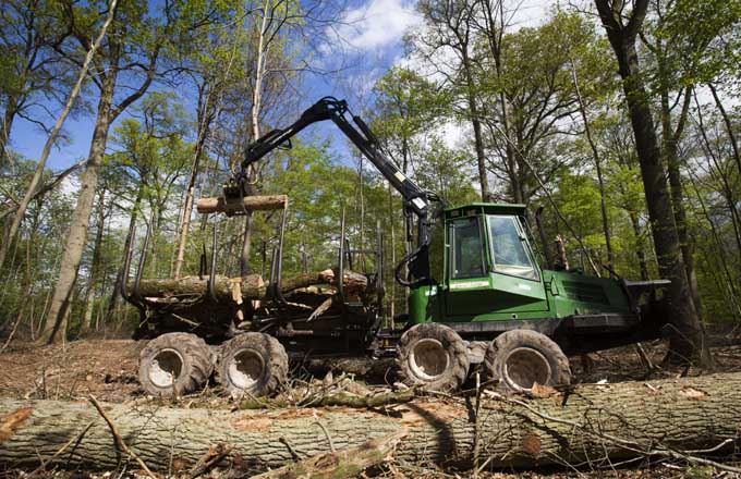 Exploitation d’une coupe en irrégulier en forêt régionale de Ferrières (crédit photo: Hellio-Van Ingen/AEV)