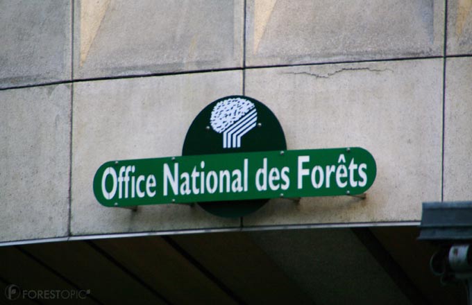 L’ONF a perdu près de 5 000 postes en 20 ans, selon les syndicats (crédit photo: CC/Forestopic)