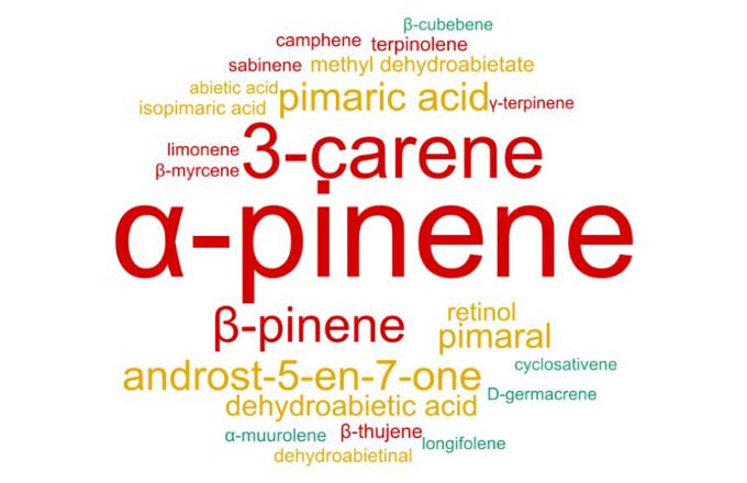 Compositions moyennes des térébenthines en phase liquide : mots-clés (illustration Gemm-Est)