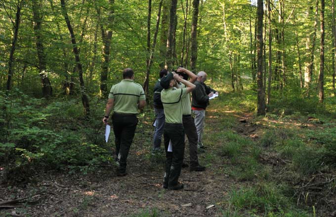 La forêt, nature ou culture? La parole aux jeunes chercheurs