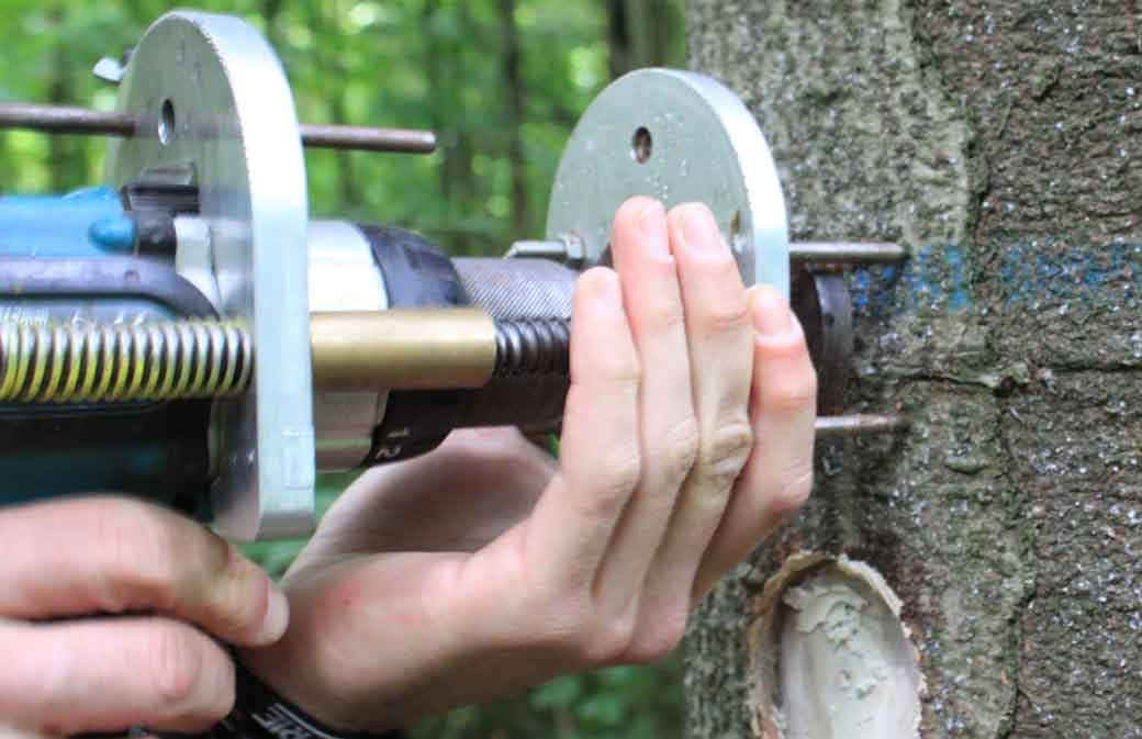 Pratiquer le gemmage aujourd’hui: une méthode moderne plus respectueuse des arbres et des gemmeurs