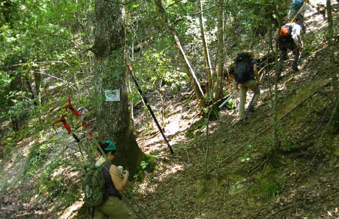 Le département de recherche «  écologie des forêts, prairies et milieux aquatiques » (EFPA) de l’INRA rassemble quelque 500 agents