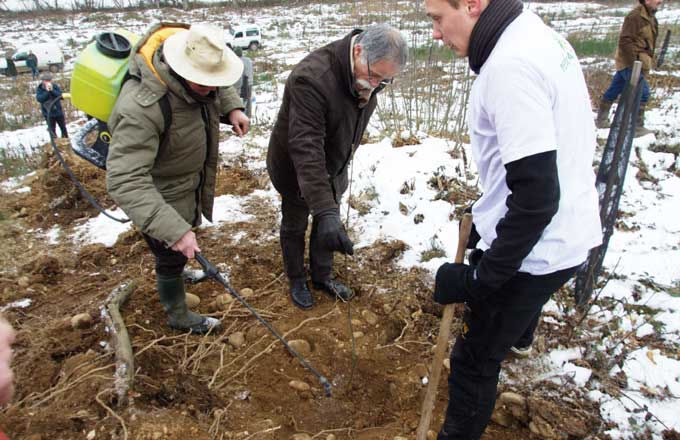 La biodynamie et une nouvelle essence expérimentées en forêt de Châtenay