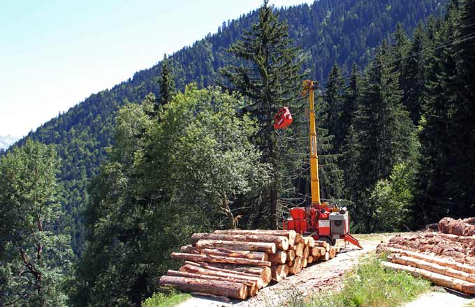 Le débardage de bois par câble aérien se pratique en forêts de montagne et aussi en terrain plat (crédit photo: FCBA)