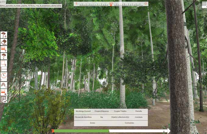 Simulateur forestier de Silva Numerica (copie d’écran)