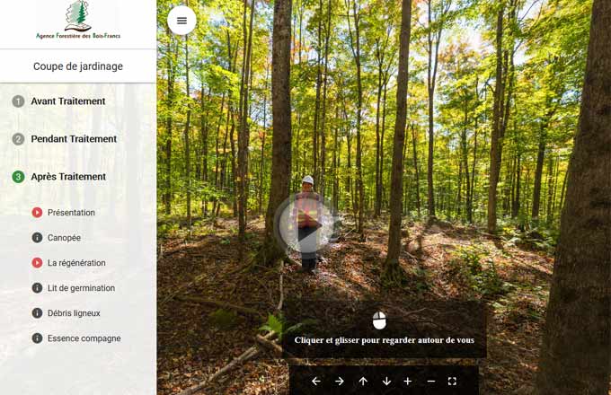Visite virtuelle d’une coupe de jardinage en forêt