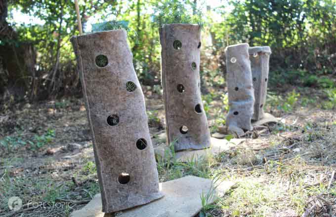 Manchons en laine de mouton Thorelaine, en démonstration (crédit photo: CC/Forestopic)