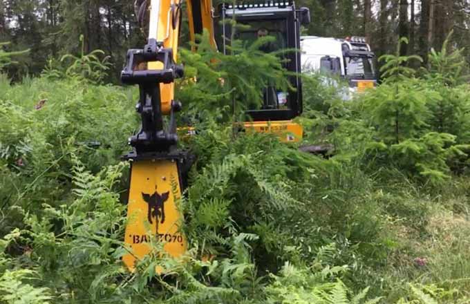 Outil utilisé pour le broyage de la végétation concurrente, en vue de favoriser la croissance des plants forestiers (photo: droits réservés)