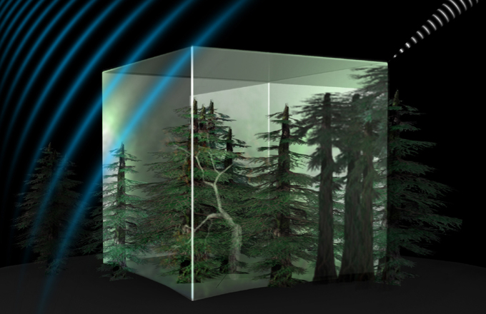 Reconstitution 3D des forêts