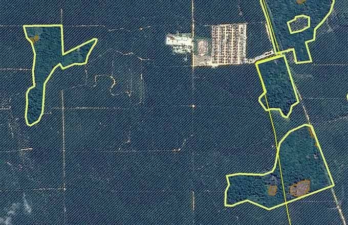 Plantations d’huile de palme en Malaisie vues par le satellite Pléiades