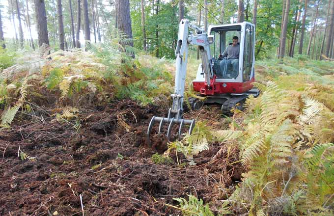 Comment l’ONF se prépare à des forêts «zéro phyto»