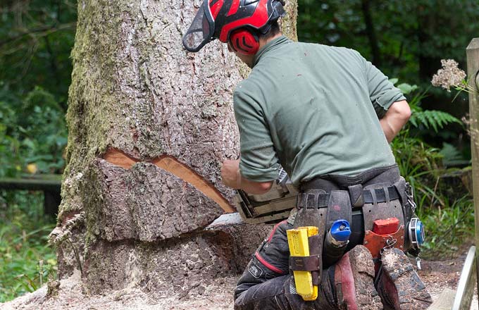 Des actions à mener pour les entrepreneurs de travaux forestiers, maillon crucial de l’avenir des forêts
