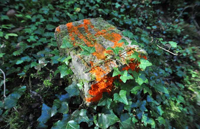 Borne cadastrale (crédit photo: Pascal Charoy)