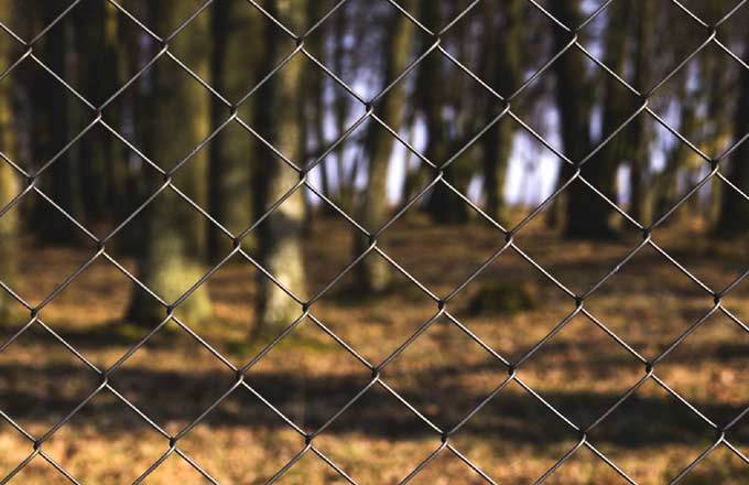 L’engrillagement d’espaces forestiers progresserait en France (photo: droits réservés)